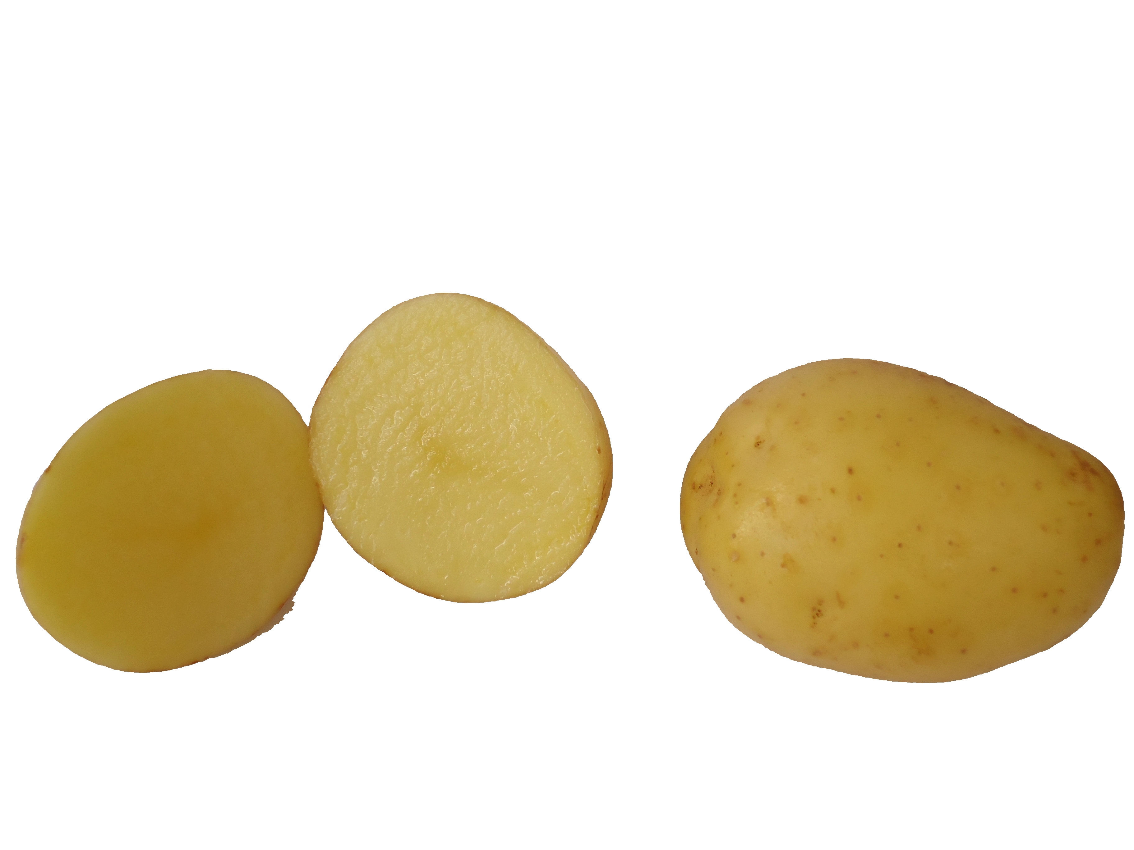 Batata Lavada (kg)